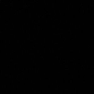 Meet your Posher, Lila